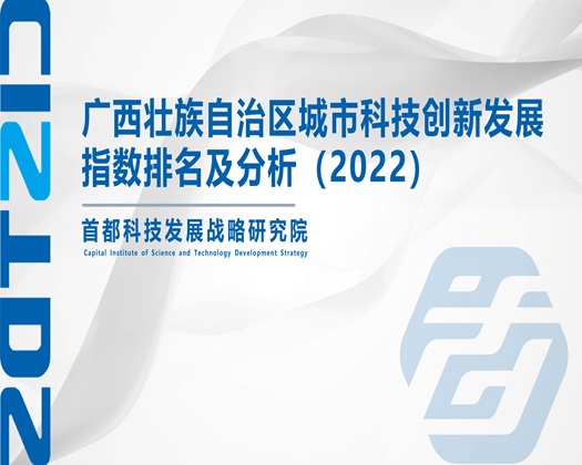 大鸡巴日页【成果发布】广西壮族自治区城市科技创新发展指数排名及分析（2022）